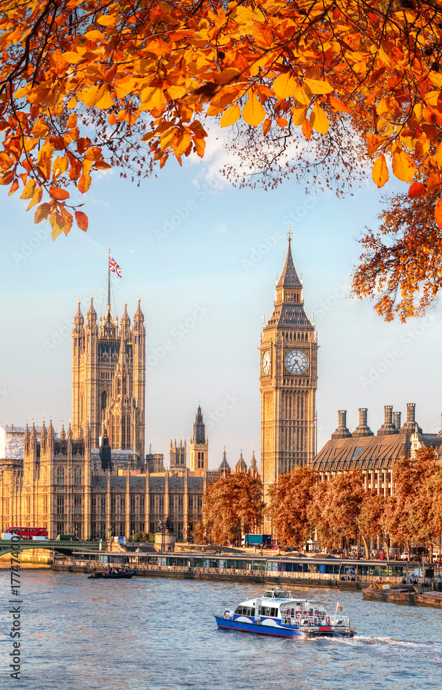 Fototapeta premium Big Ben with autumn leaves in London, England, UK
