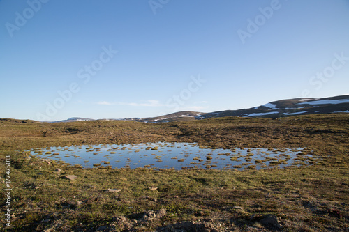 Landscape in the valley Kåfjorddalen, melting water pond, summer  photo