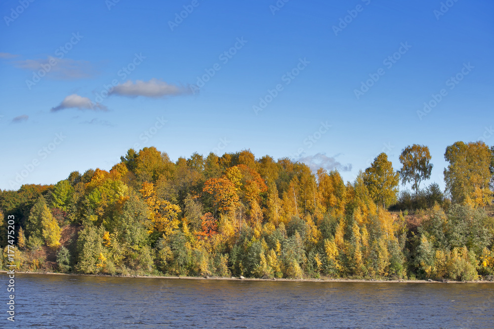 Forest by River in Autumn Forest by River in Autumn