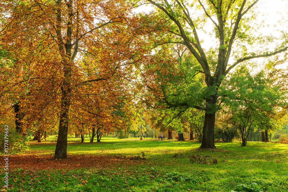 Fototapeta premium Herbst