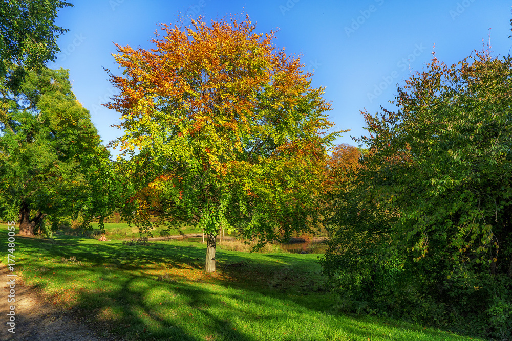Naklejka premium Herbst