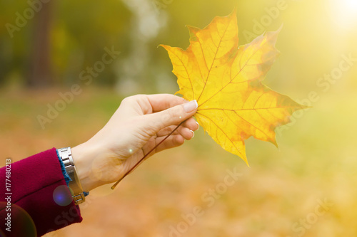 Orange leaf in female hand