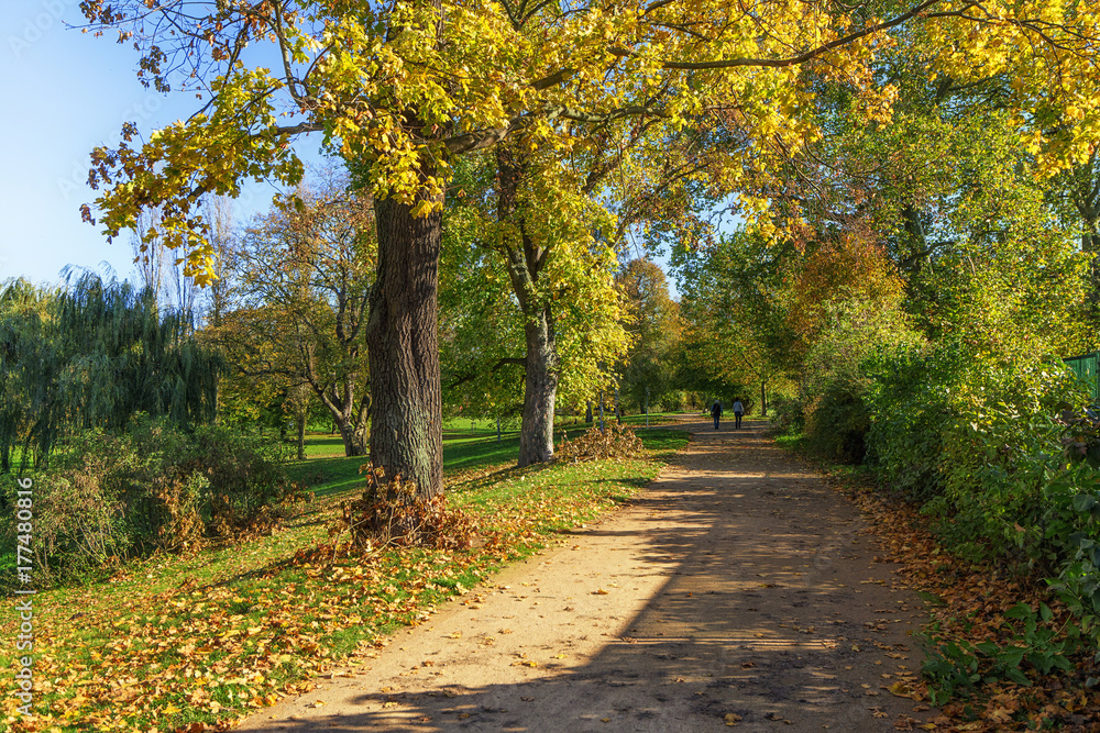 Naklejka premium Herbst