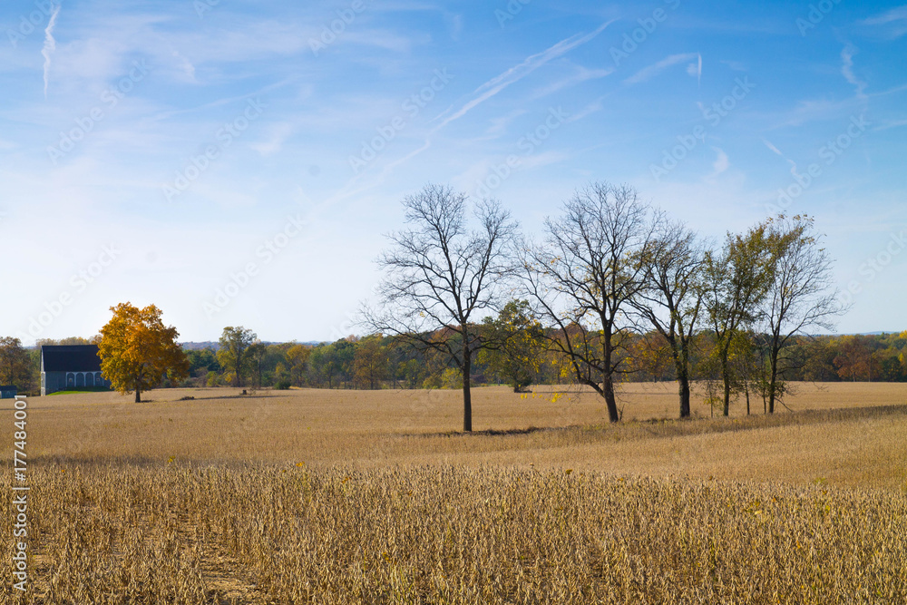 Fototapeta premium Fall landscape1