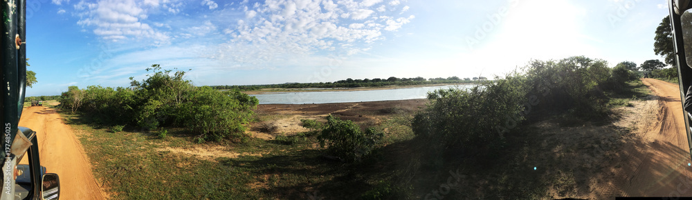 panorama picture of the safari from a jeep driving on a dirt road