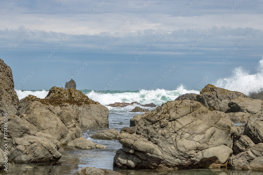 Rocky Shore New Zealand