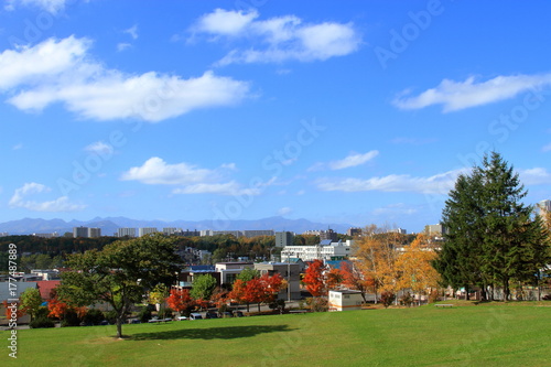 Autumn leaves of Sapporo park　 © tasch