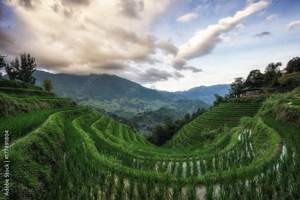 Longi rice terrace