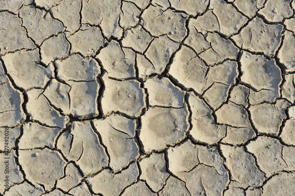 Dry soil cracking Dry soil cracking