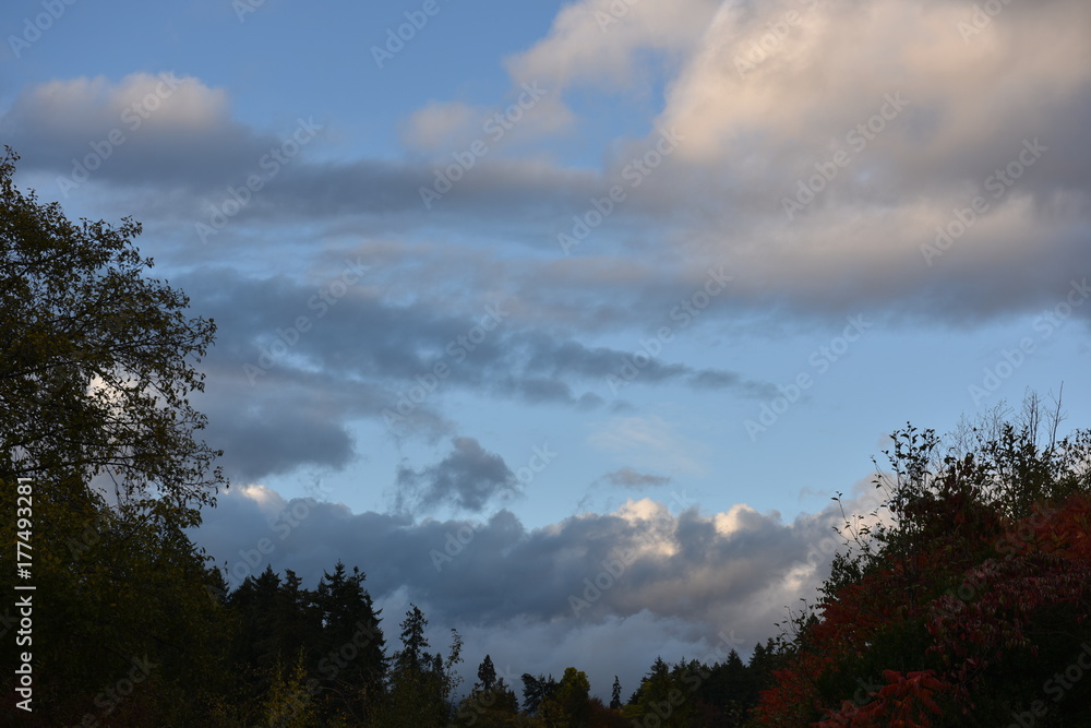 nature nature
