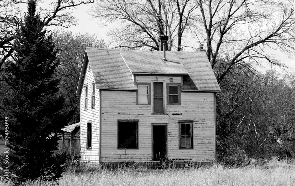 Obraz premium Empty Nest