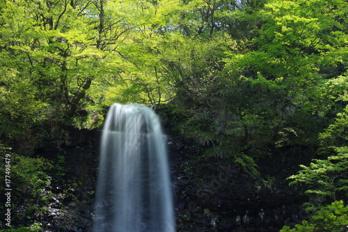 初夏の玉簾の滝 Tamasudarenotaki in early summer / Sakata, Yamagata, Japan