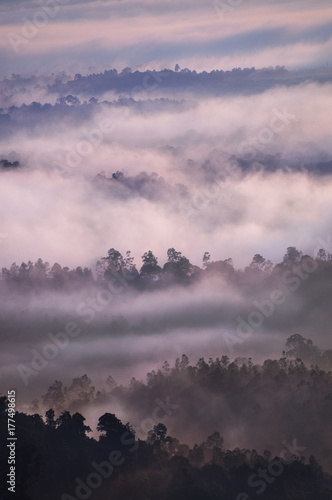 Bukit Panorama, Sungai Lembing, Malaysia, Asia photo