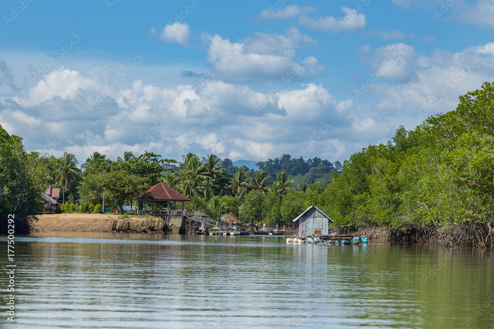 Obraz premium Fischerdorf in Mangroven 