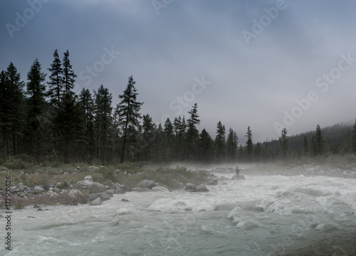 the river on a background of mountains and forests in the fog Akkem river, is at the foot of the Belukha mountain, Altai Mountains, Russia © coob.kz