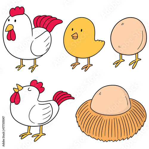 vector set of chicken and egg