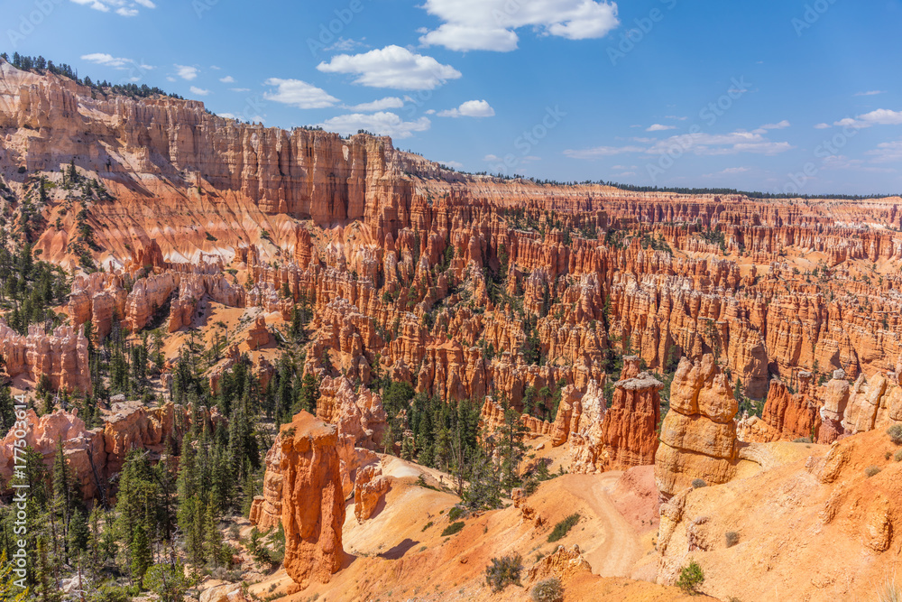 Beautiful landscape. Green pine-trees on rock slopes. Scenic view of the canyon. Bryce Canyon National Park. Utah. USA Beautiful landscape. Green pine-trees on rock slopes. Scenic view of the canyon. Bryce Canyon National Park. Utah. USA