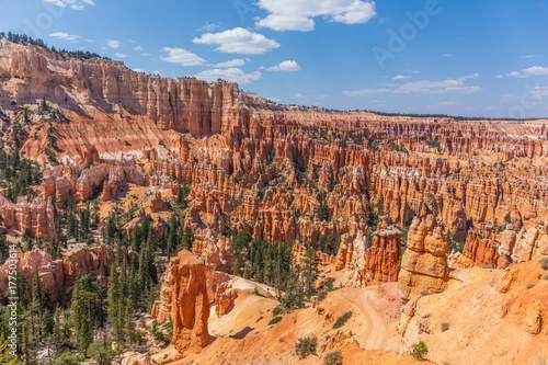 Beautiful landscape. Green pine-trees on rock slopes. Scenic view of the canyon. Bryce Canyon National Park. Utah. USA