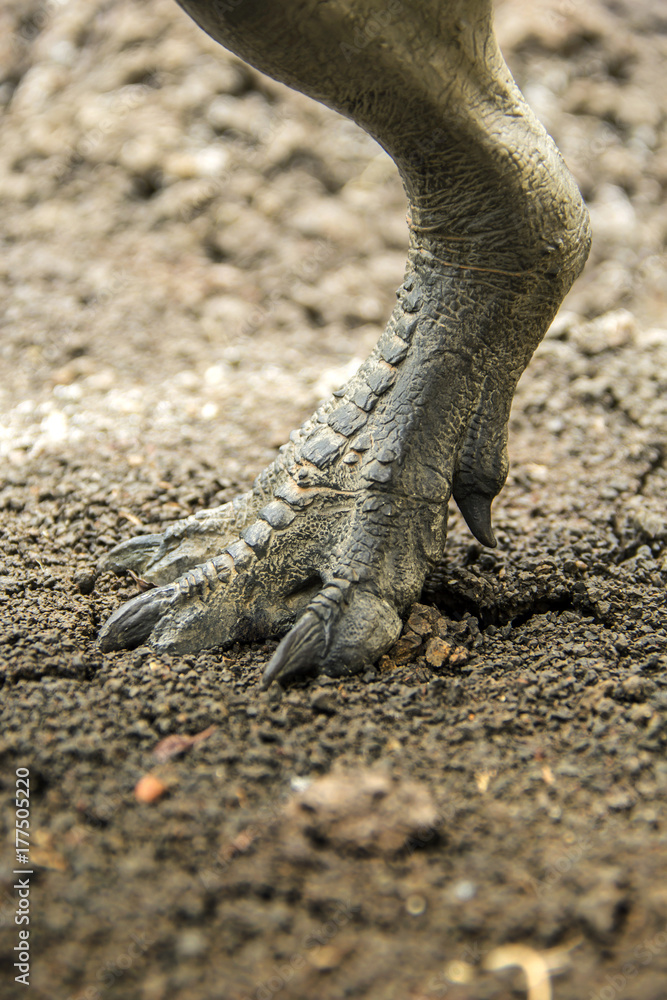 Dinosaur feet walking of Tyrannosaurus ( T-rex ) on the ground in late