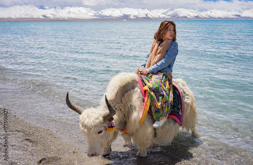 チベット ナムツォでヤクに乗る女性 - Woman riding a yak in Tibet ,Namso photo