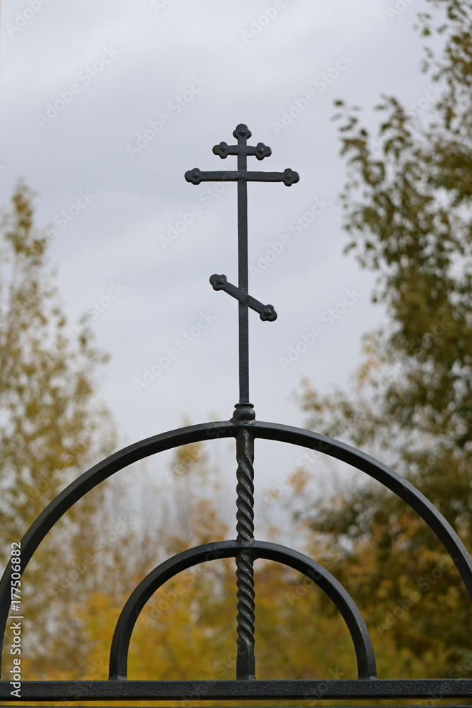 Wrought-iron fences and hedges, church hedge Wrought-iron fences and hedges, church hedge