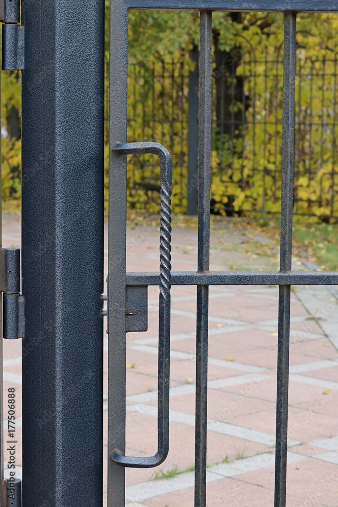 Wrought-iron fences and hedges, handle and lock Wrought-iron fences and hedges, handle and lock