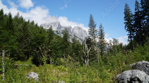 Wald
