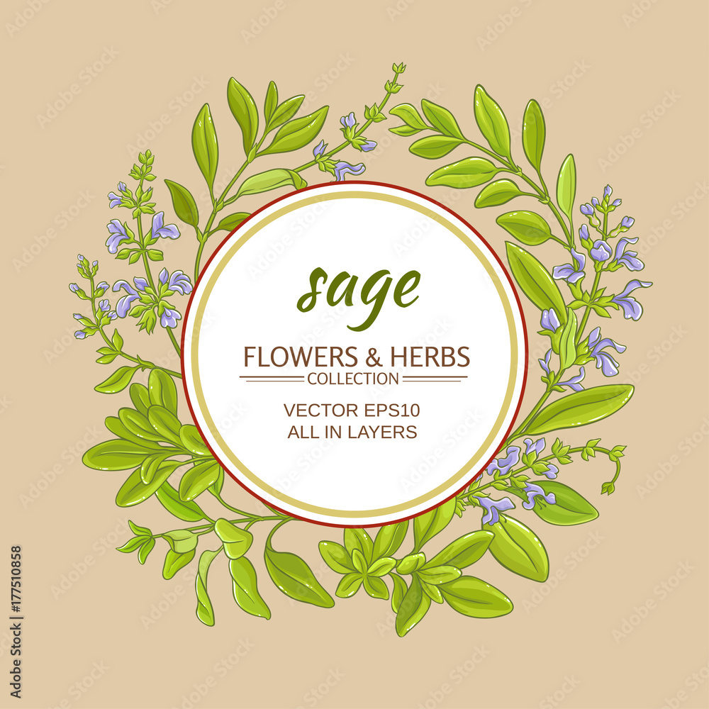 Obraz premium sage vector frame