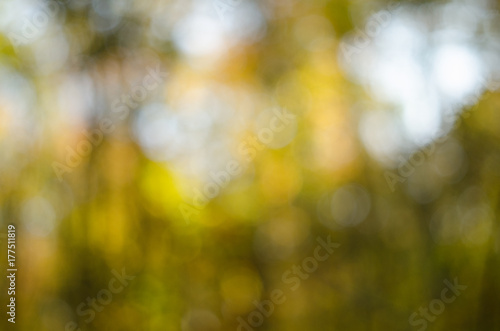 Abstract blurred background based on autumn sunny forest