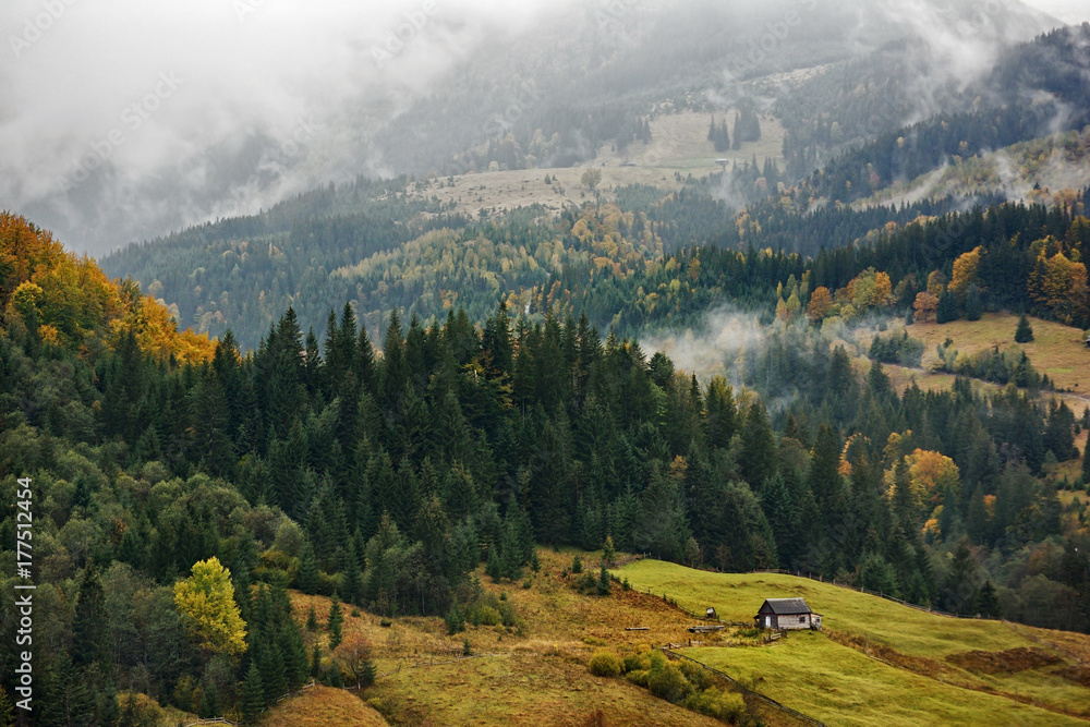 Obraz premium Mountain landscape of beautiful foggy morning in the Ukrainian Carpathians