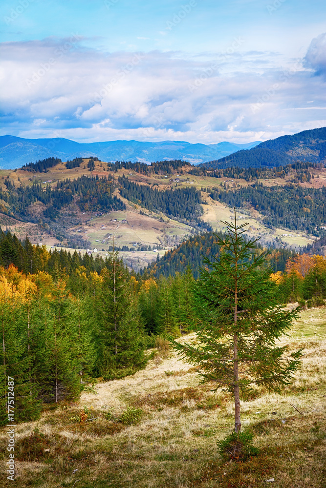 Mountain landscape of beautiful sunny day in the Ukrainian Carpathians