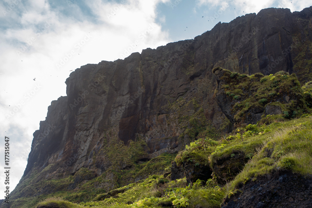 Iceland, high mountain cliff.. Beautiful landscape Iceland, high mountain cliff.. Beautiful landscape