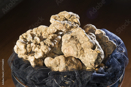 Wonderful white truffles on a cup with pedestal, resting on a wooden table, from the Langhe Alba in Piedmont Italy.