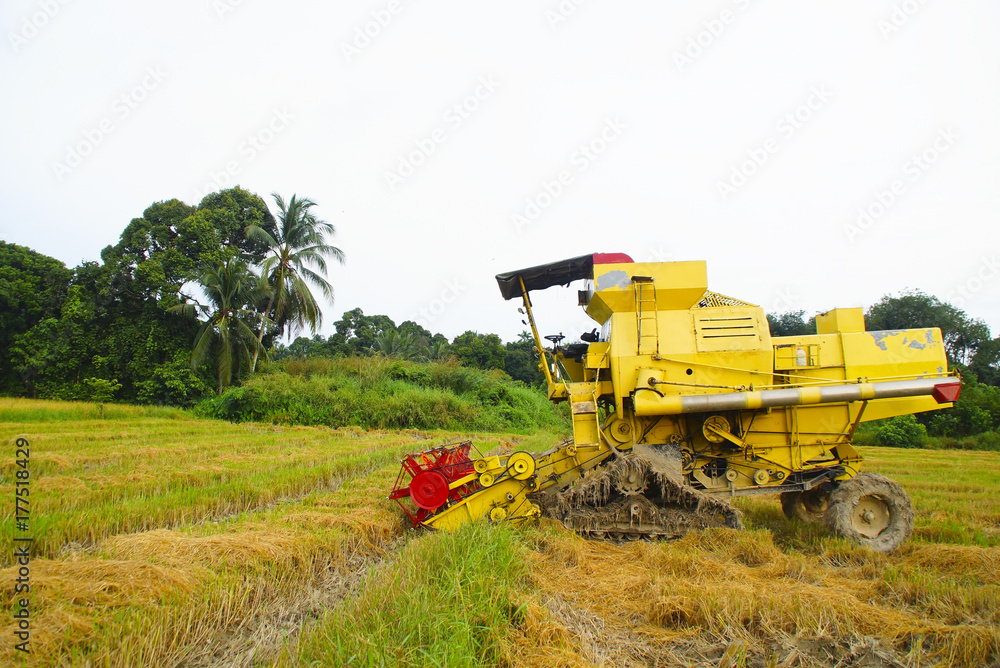 Fototapeta premium Rice Planting Machine At Rice Field