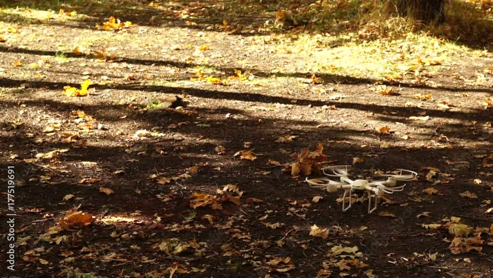 quadrocopter soars from the clearing in the forest.