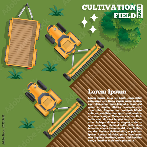 Agricultural work. View from above. Vector illustration.