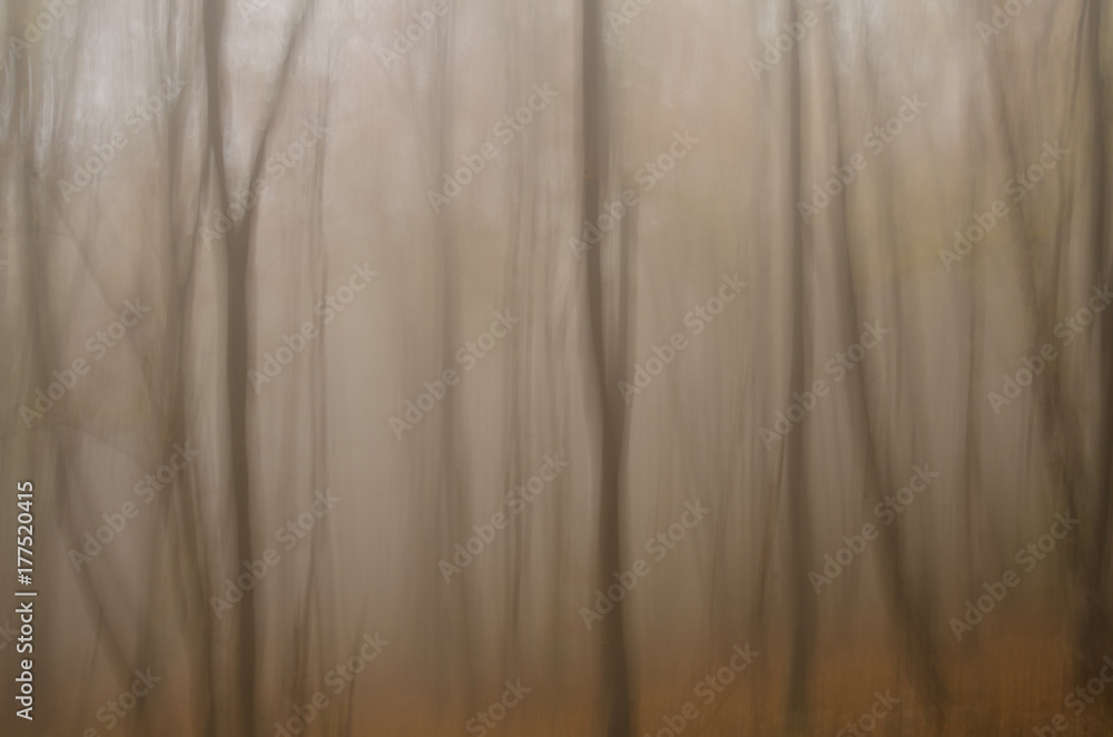 Foggy forest. Blurred trees in fog.