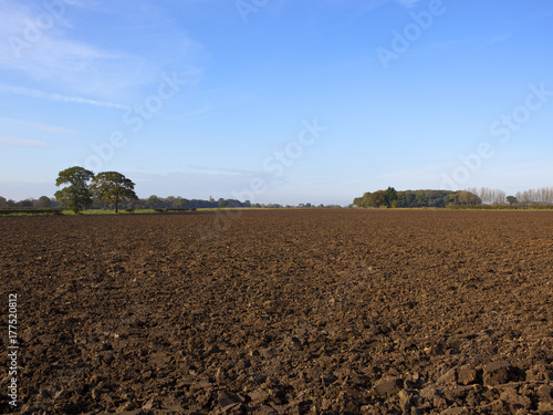 autumn trees and plow soil