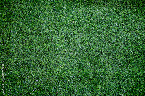 Artificial Grass photo