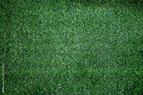 Photography Artificial Grass