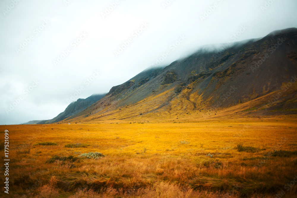 Landscape of Iceland, fog and rain. A journey into a far country