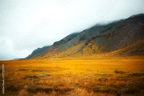Landscape of Iceland, fog and rain. A journey into a far country