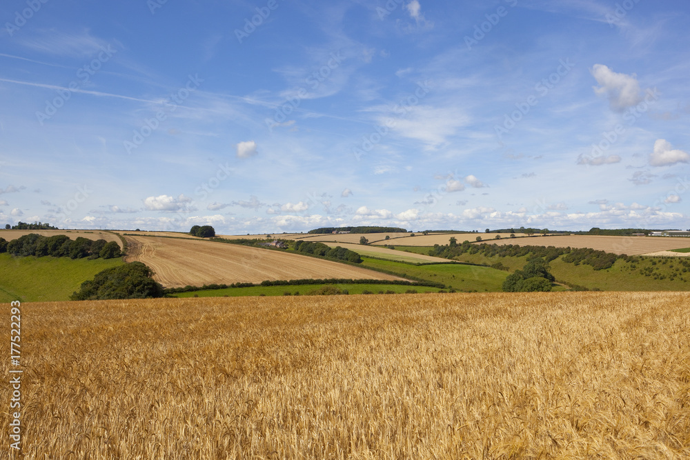 scenic agricultural landscape