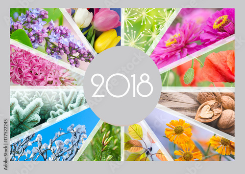 Seasonal Calendar for 2018 year. Quarterly calendar of accountant.
