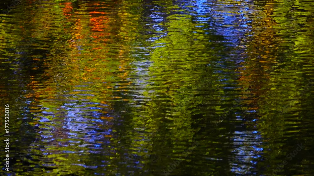 reflection of the autumn wood and water reflection of the autumn wood and water