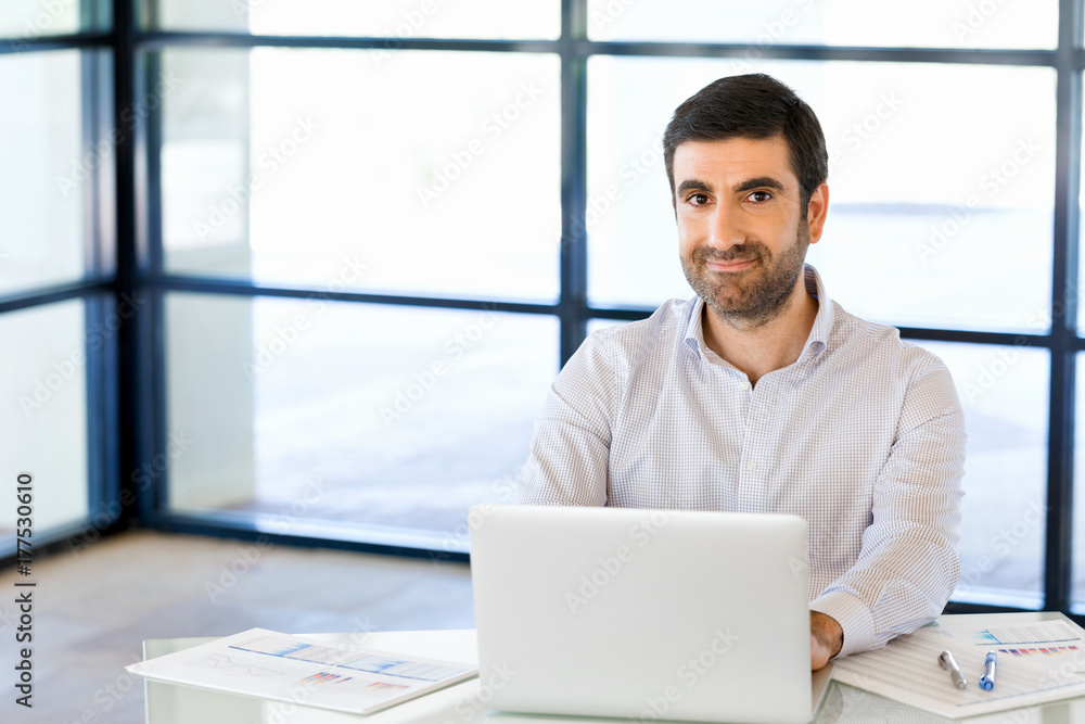 Fototapeta premium Handsome businessman working at computer