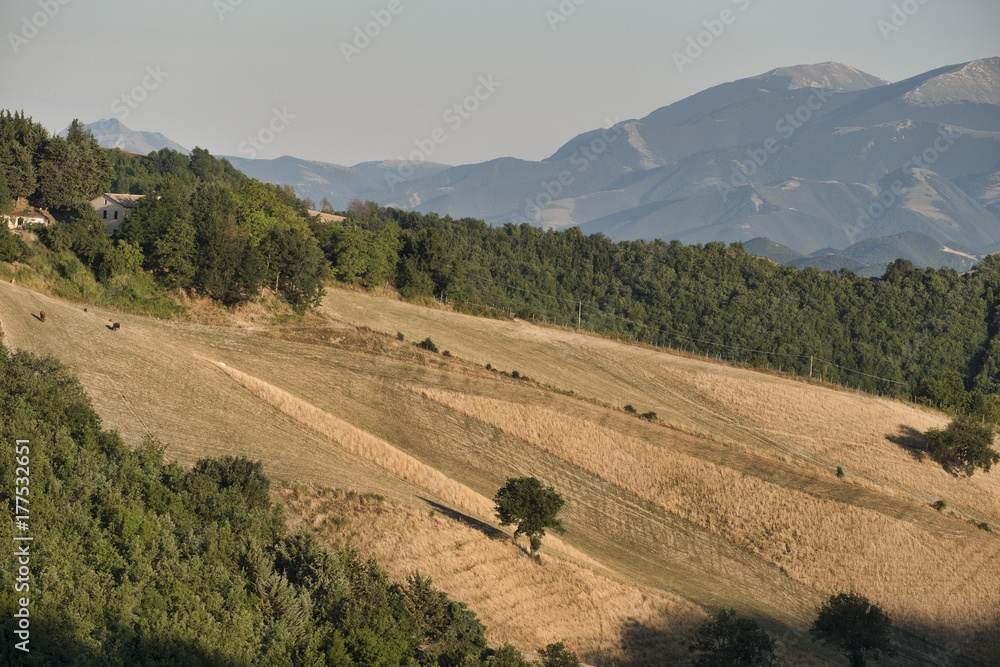 Fototapeta premium Landscape in Montefeltro near Urbino (Marches, Italy)