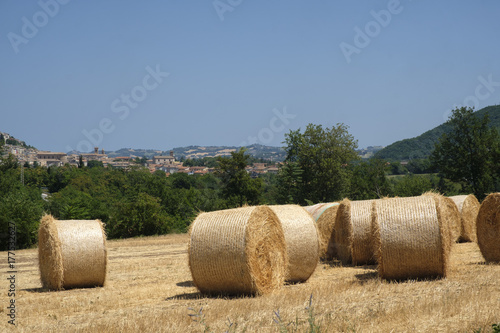 Summer landscape in Marches near Fossombrone photo