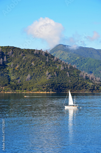 Wallpaper Mural A sailboat in Marlborough Sounds Torontodigital.ca