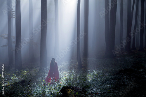 Φωτογραφία Red Riding Hood portrait in the autumn foggy forest
